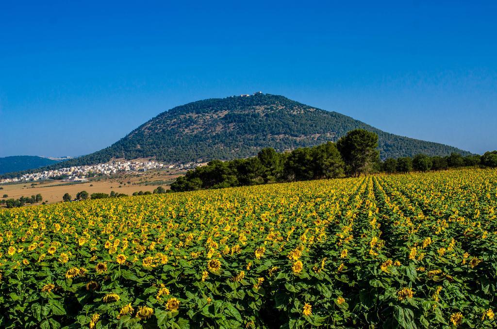 'En Dor Galilee Best Location المظهر الخارجي الصورة